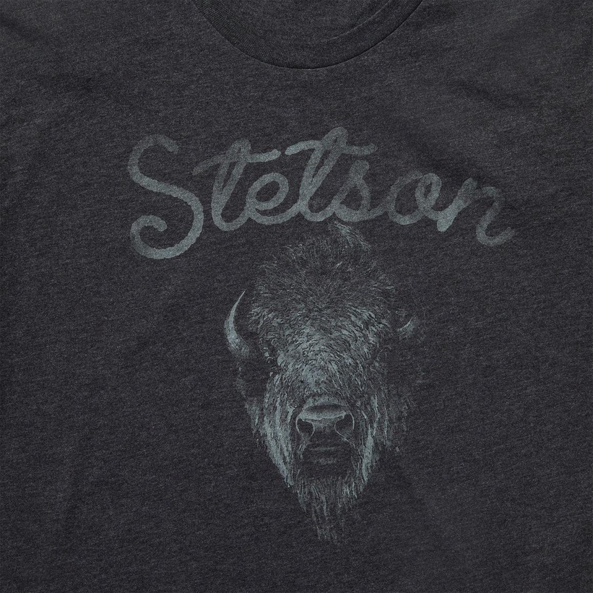 Bison Spirit Graphic Tee Black Men Stetson Tees