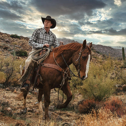 Dobby Twill Plaid Shirt Brown Men Stetson Western Shirts