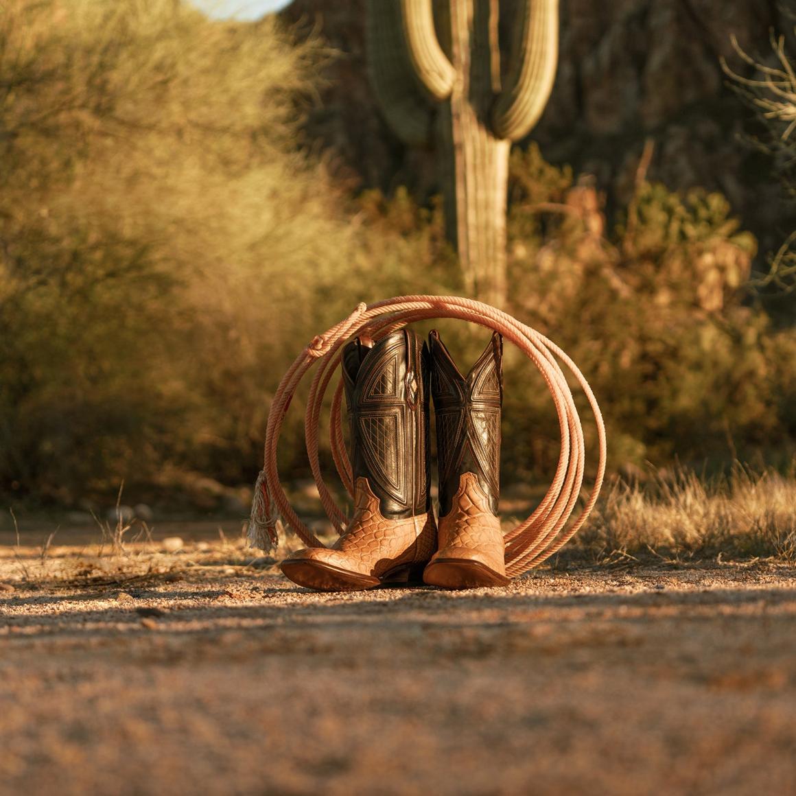 Flaxville Tan Men Stetson Western