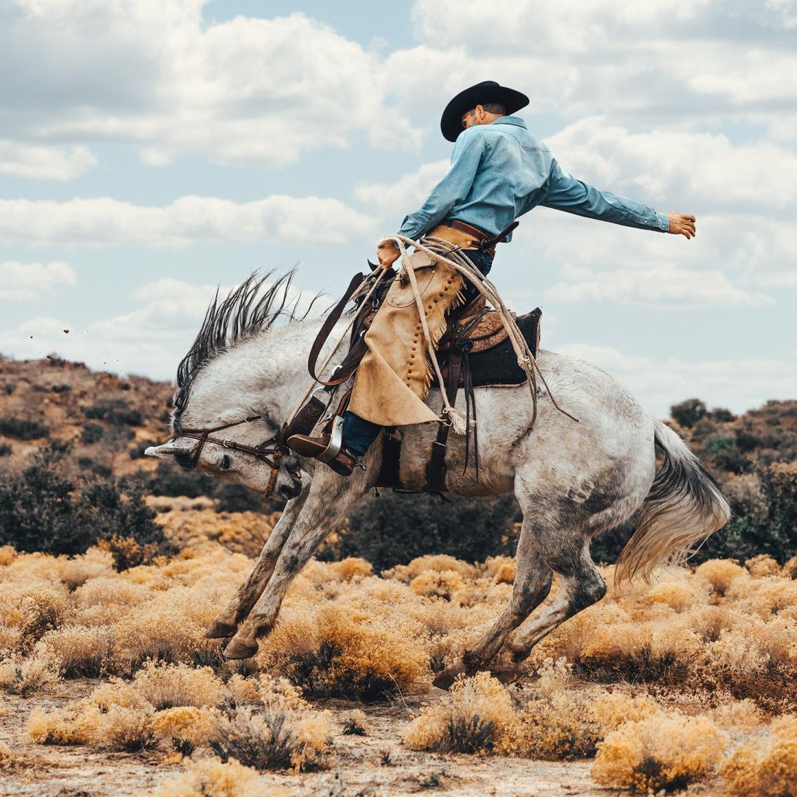 Long-Sleeved Denim Shirt Blue Men Stetson Western Shirts
