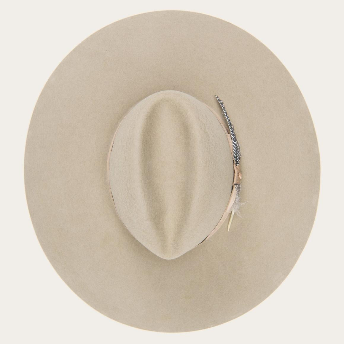 The Rapture Mushroom Men/Women Stetson Fedora