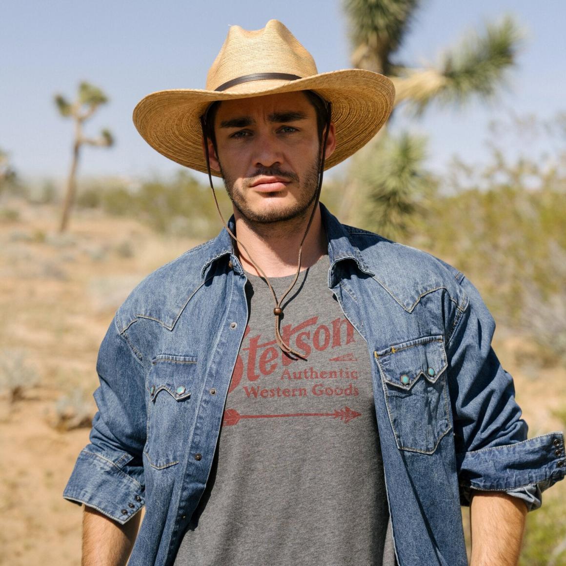 Vintage Arrow Graphic Tee Grey Men Stetson Tees